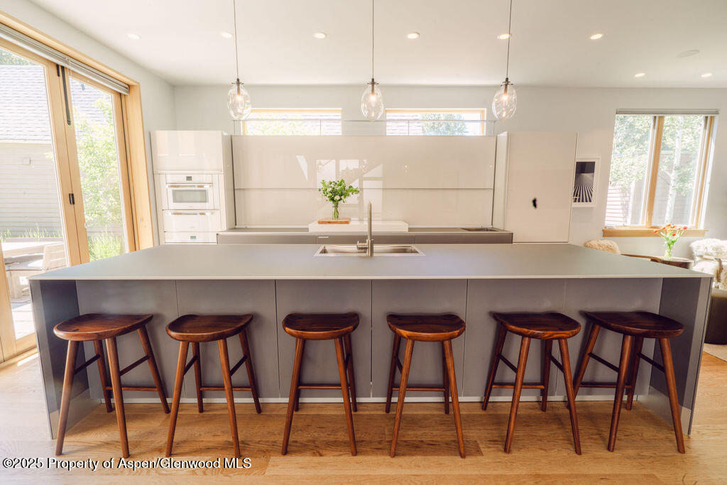 1006 E Cooper Avenue Aspen CO 81611