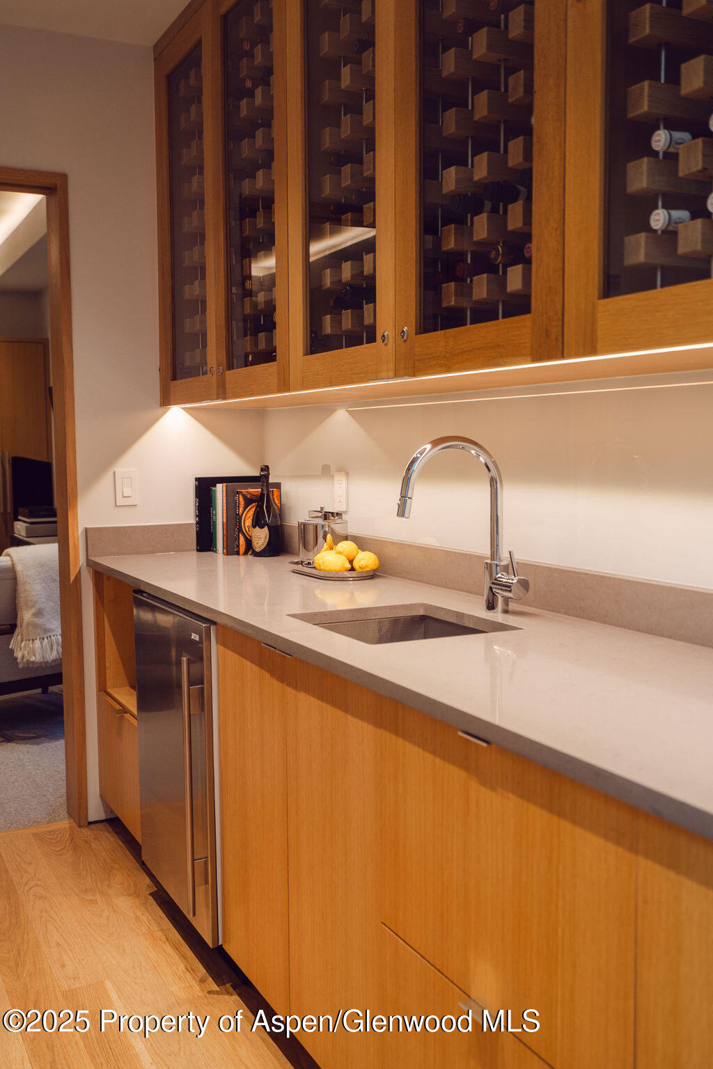 1006 E Cooper Avenue Aspen CO 81611