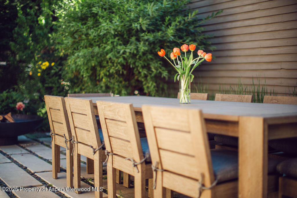 1006 E Cooper Avenue Aspen CO 81611