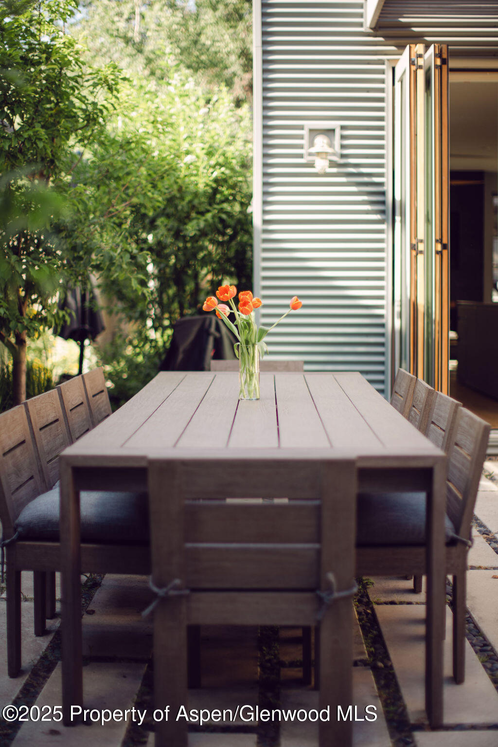 1006 E Cooper Avenue Aspen CO 81611