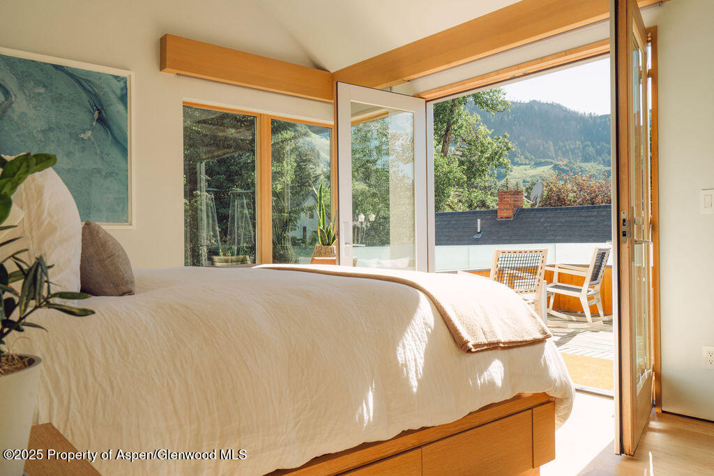 1006 E Cooper Avenue Aspen CO 81611