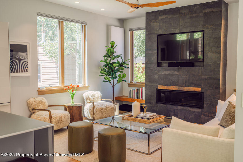 1006 E Cooper Avenue Aspen CO 81611