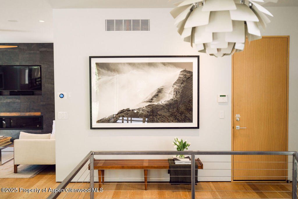 1006 E Cooper Avenue Aspen CO 81611