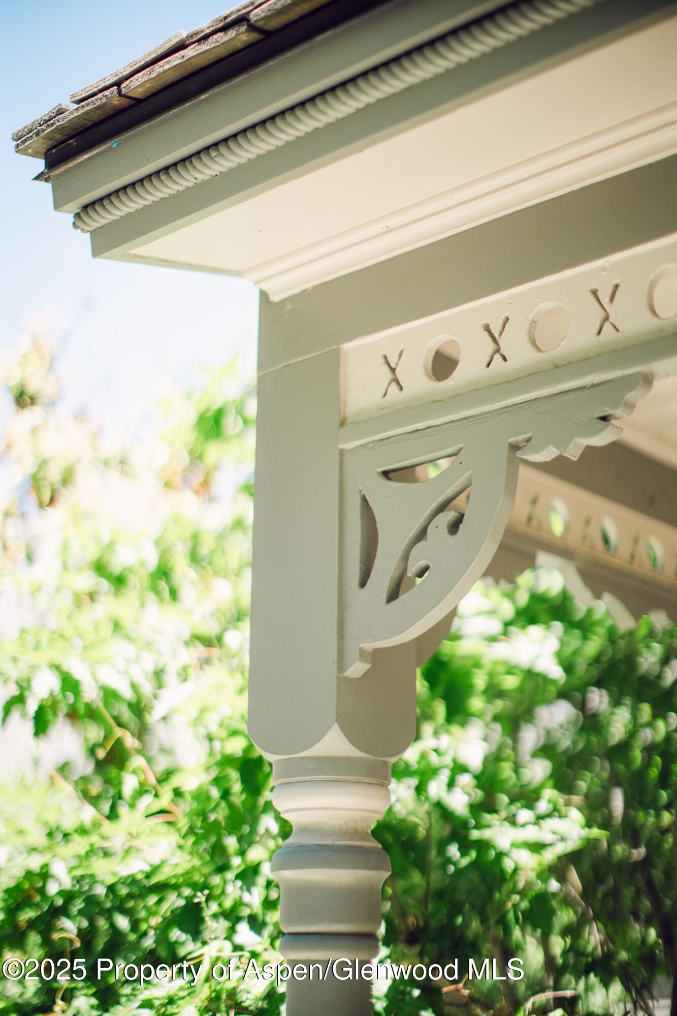 1006 E Cooper Avenue Aspen CO 81611