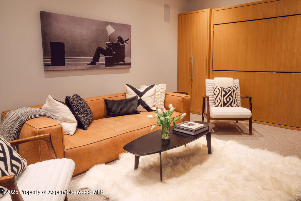 1006 E Cooper Avenue Aspen CO 81611