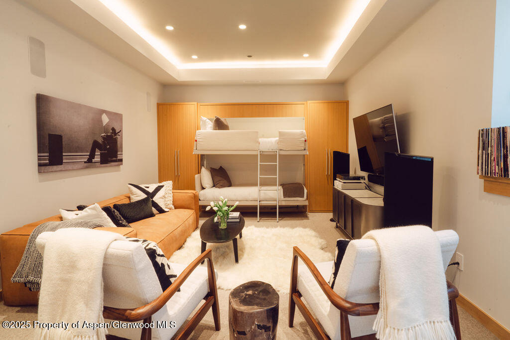 1006 E Cooper Avenue Aspen CO 81611