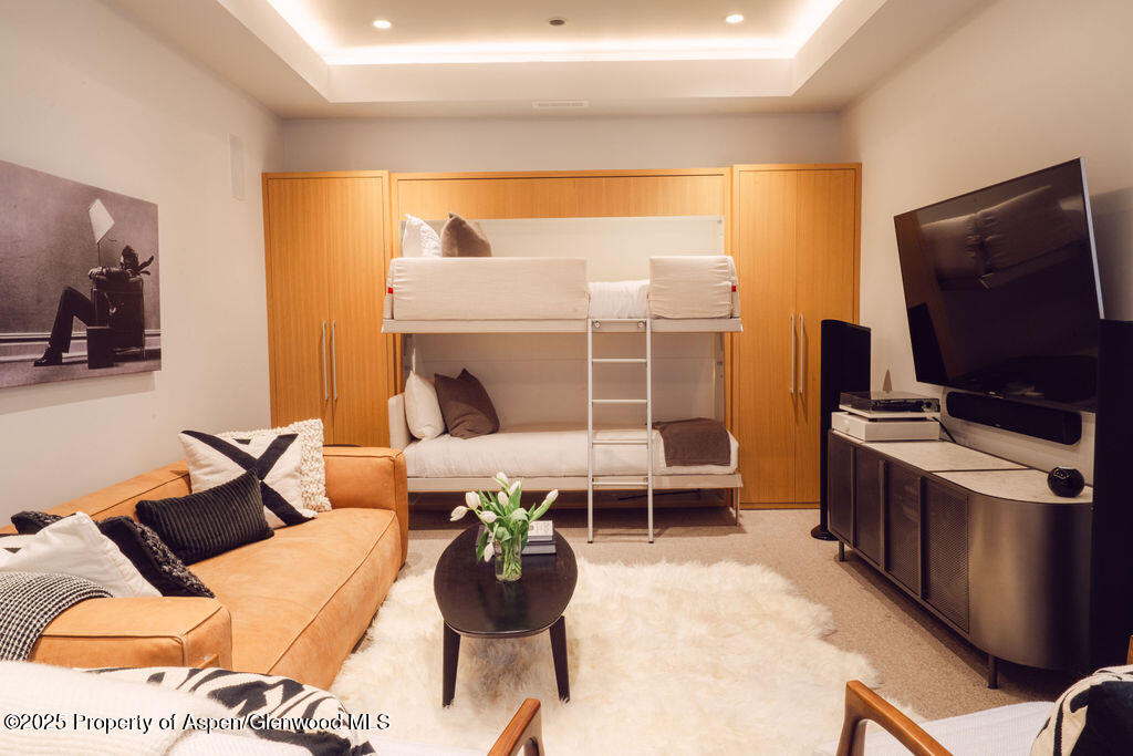 1006 E Cooper Avenue Aspen CO 81611