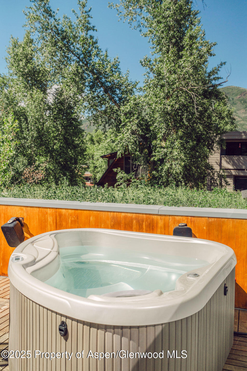 1006 E Cooper Avenue Aspen CO 81611