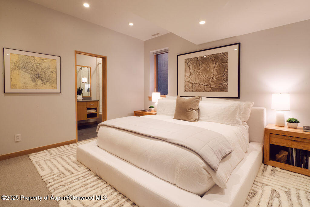 1006 E Cooper Avenue Aspen CO 81611