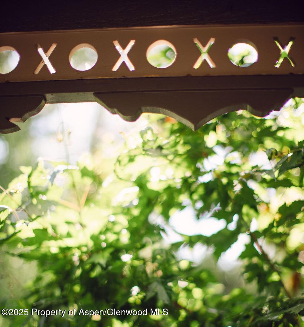 1006 E Cooper Avenue Aspen CO 81611