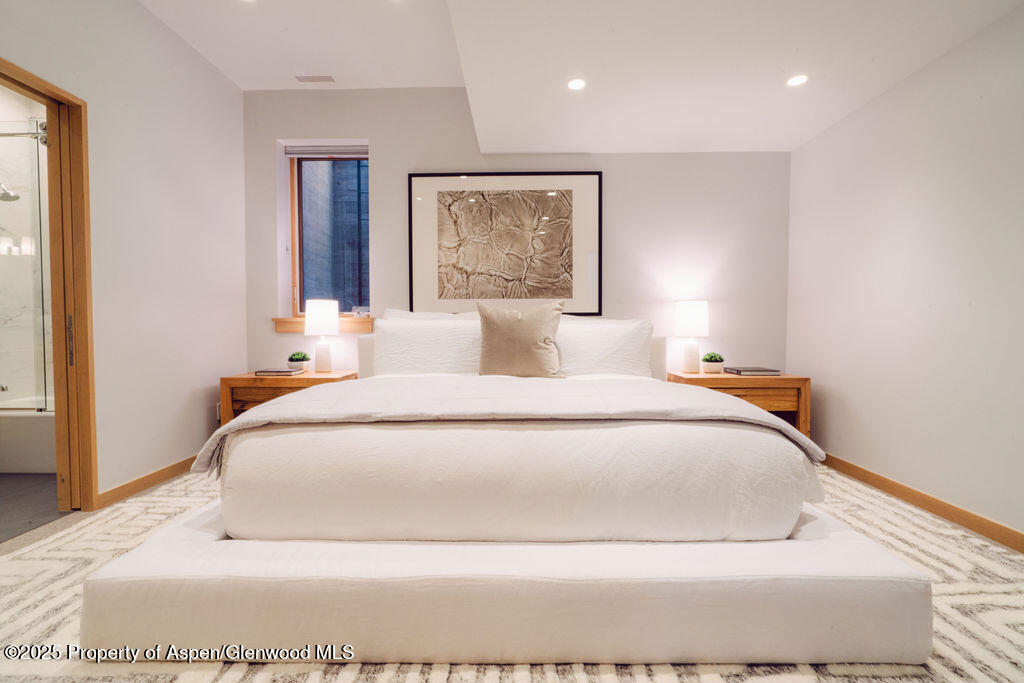 1006 E Cooper Avenue Aspen CO 81611