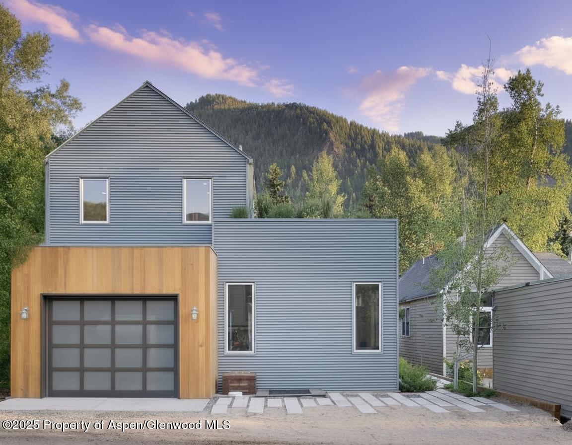 1006 E Cooper Avenue Aspen CO 81611