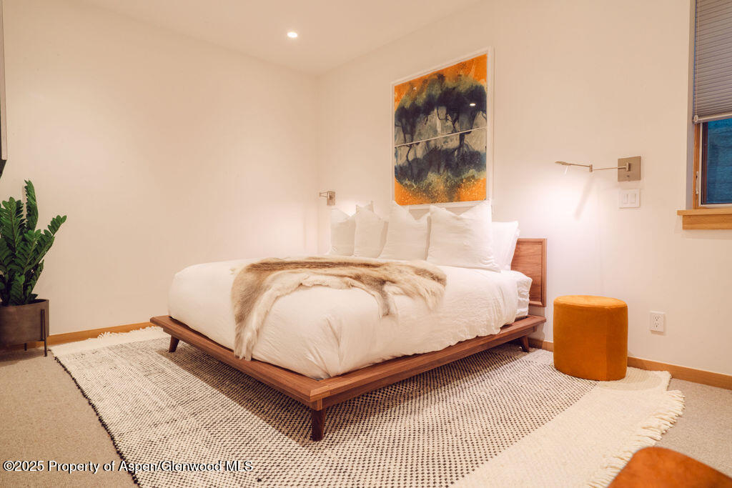 1006 E Cooper Avenue Aspen CO 81611