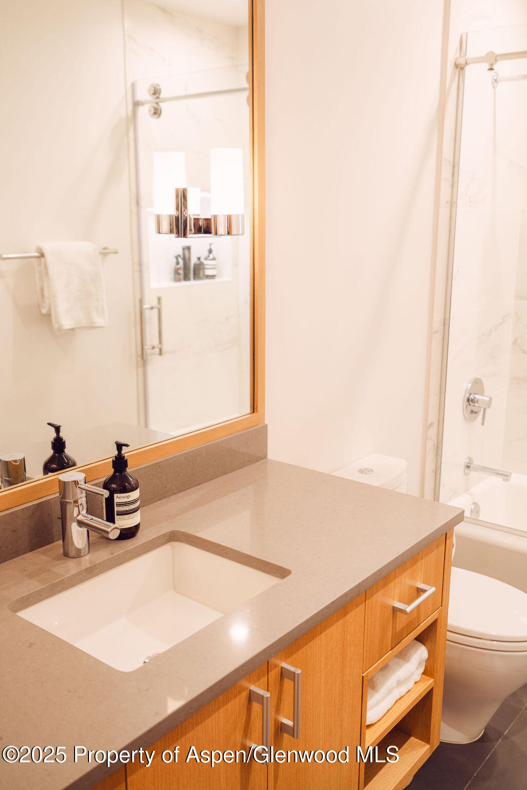 1006 E Cooper Avenue Aspen CO 81611