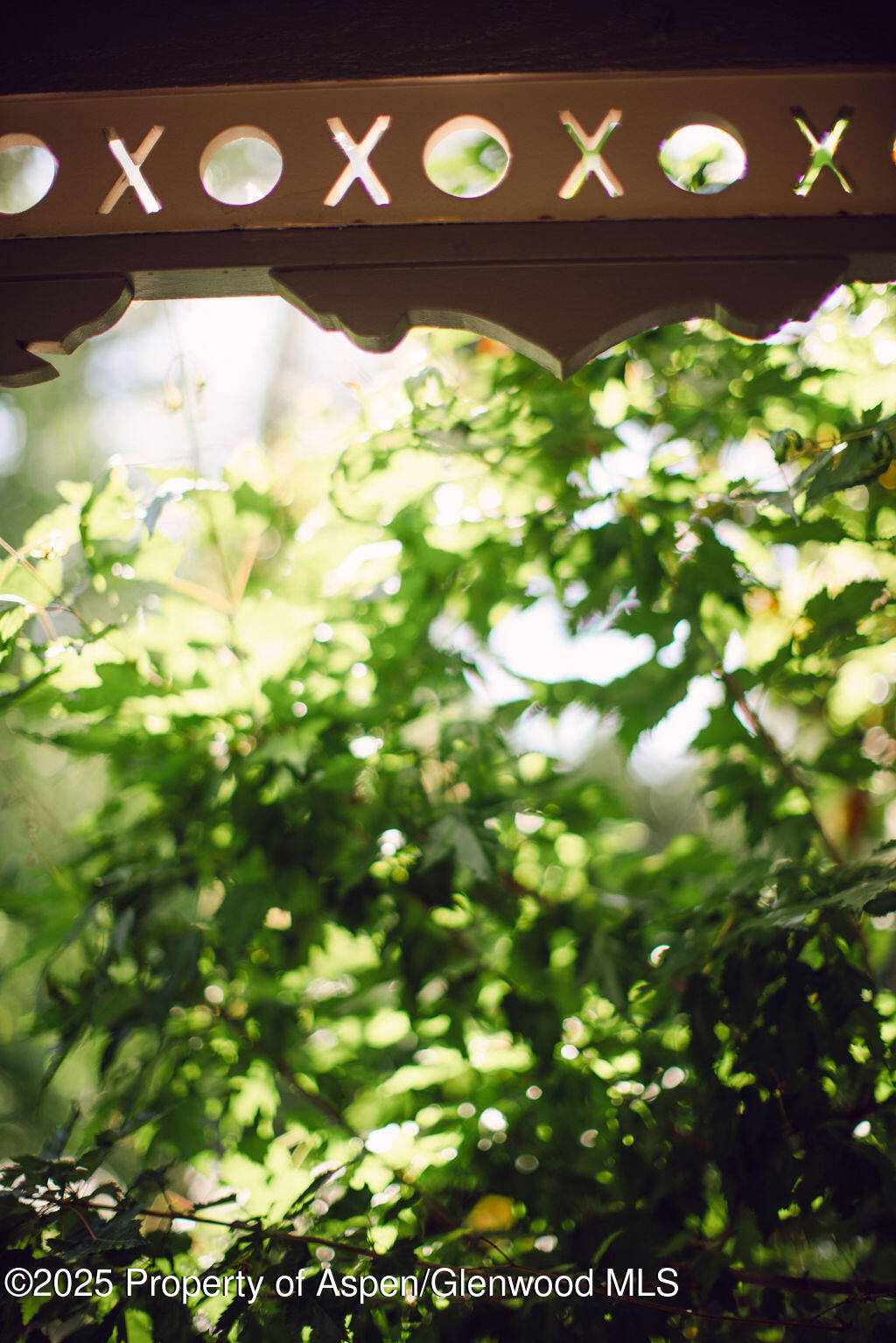 1006 E Cooper Avenue Aspen CO 81611