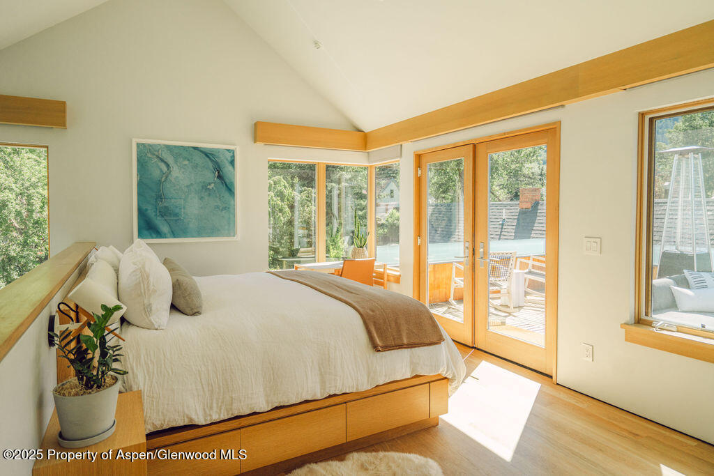 1006 E Cooper Avenue Aspen CO 81611