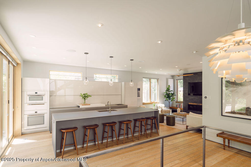 1006 E Cooper Avenue Aspen CO 81611