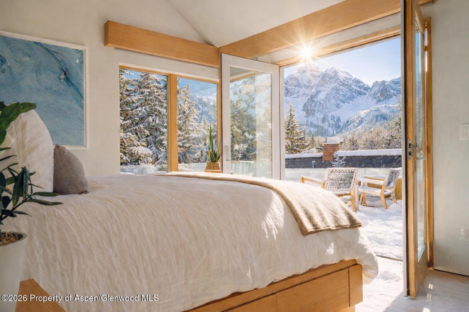 1006 E Cooper Avenue Aspen CO 81611