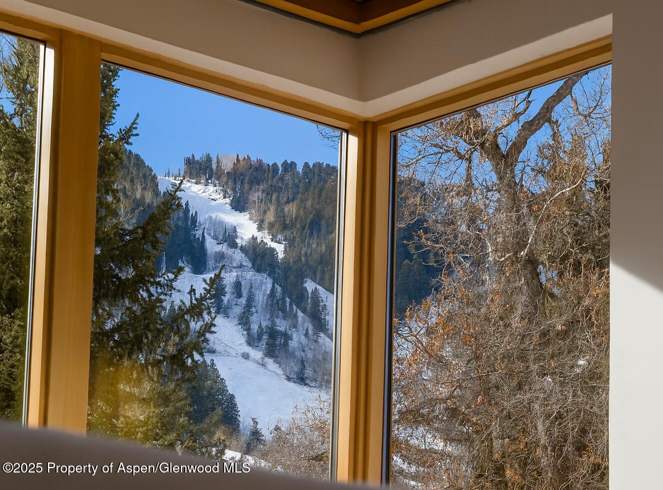 1006 E Cooper Avenue Aspen CO 81611