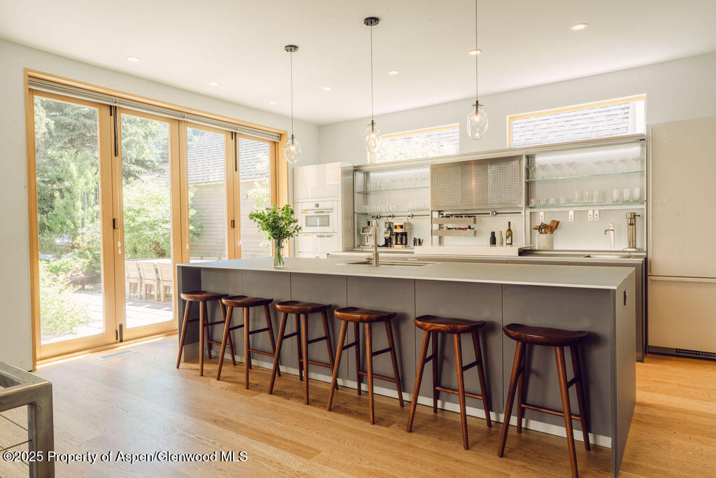 1006 E Cooper Avenue Aspen CO 81611