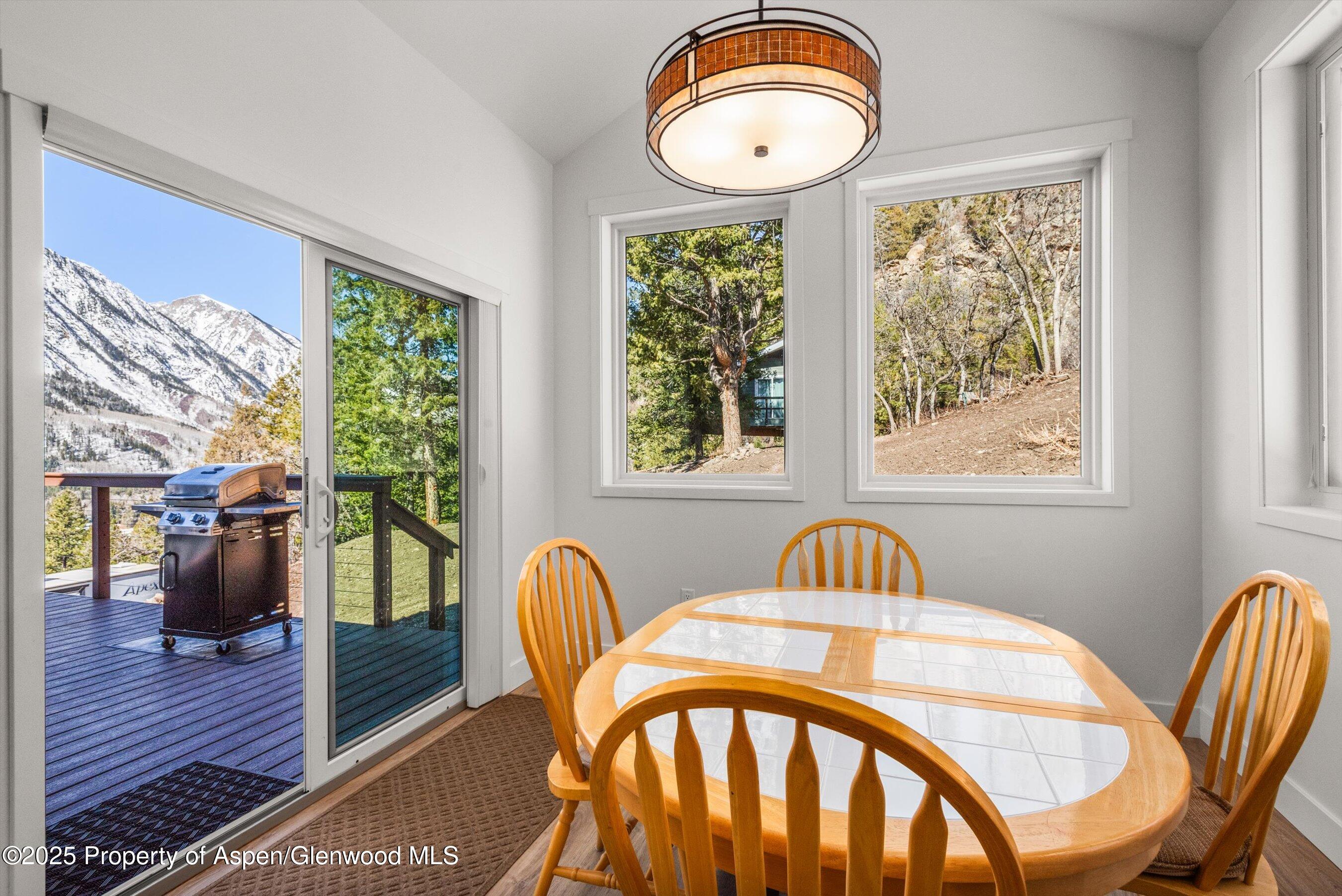 787 Serpentine Trail Marble CO 81623