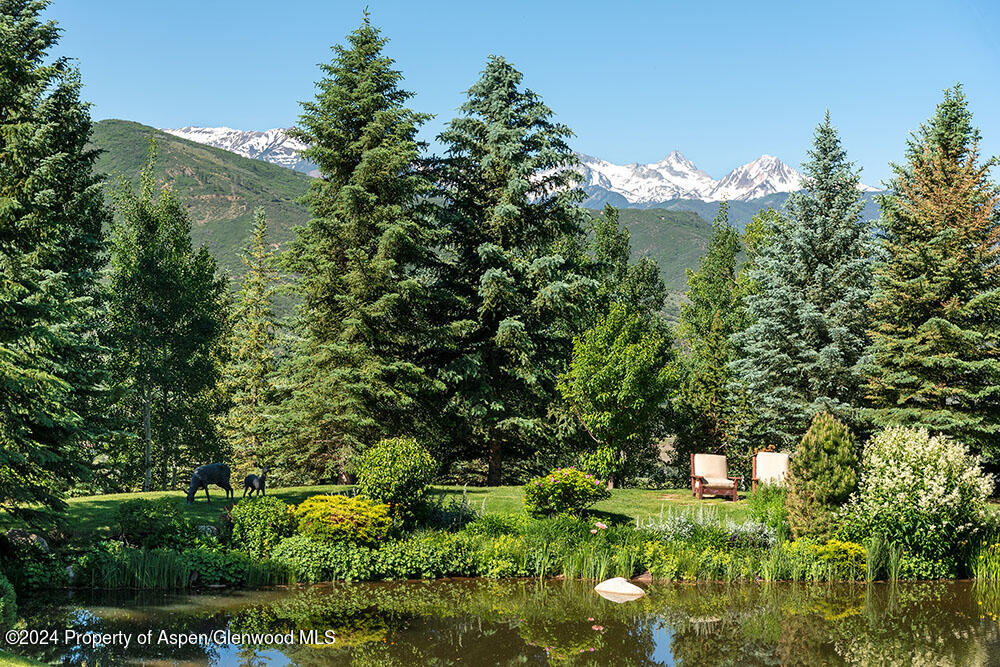 120 Running Mare Road Woody Creek CO 81656