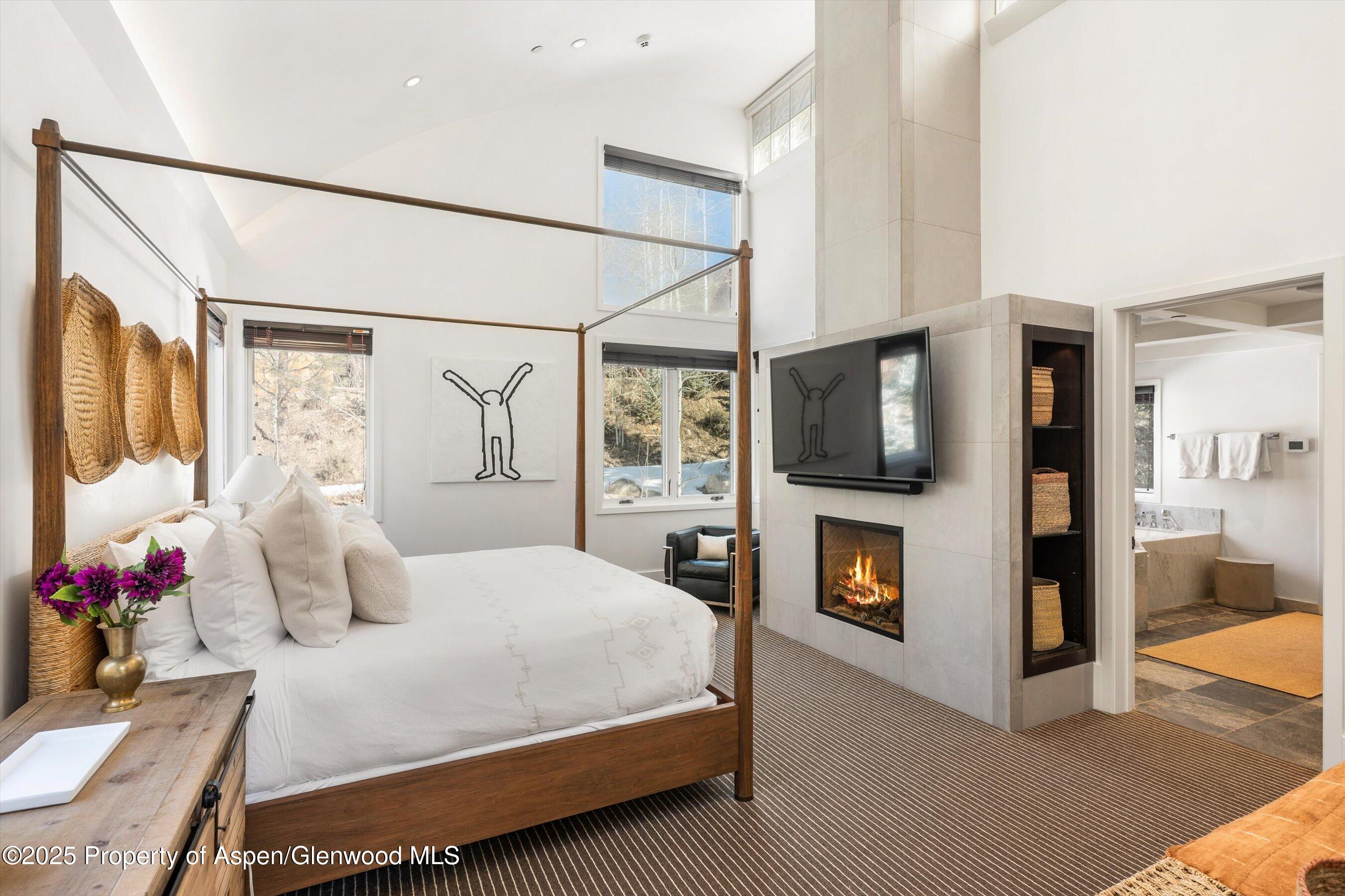 63 Smuggler Grove Aspen CO 81611