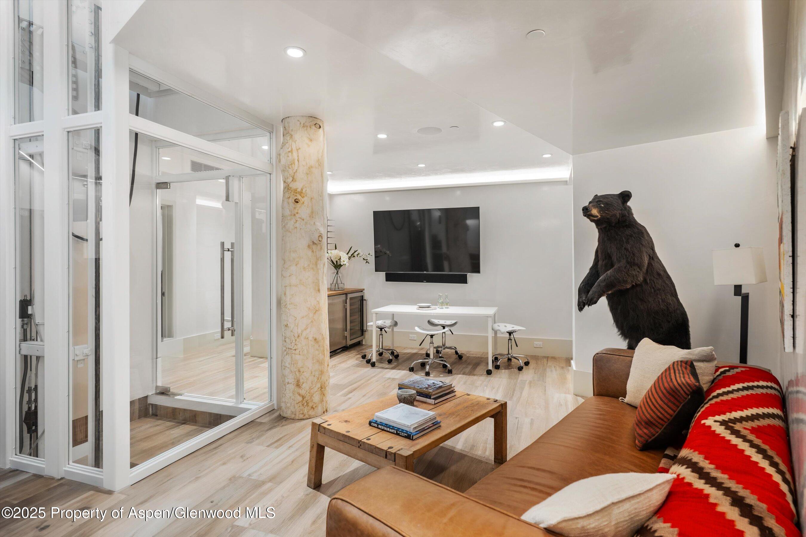 63 Smuggler Grove Aspen CO 81611