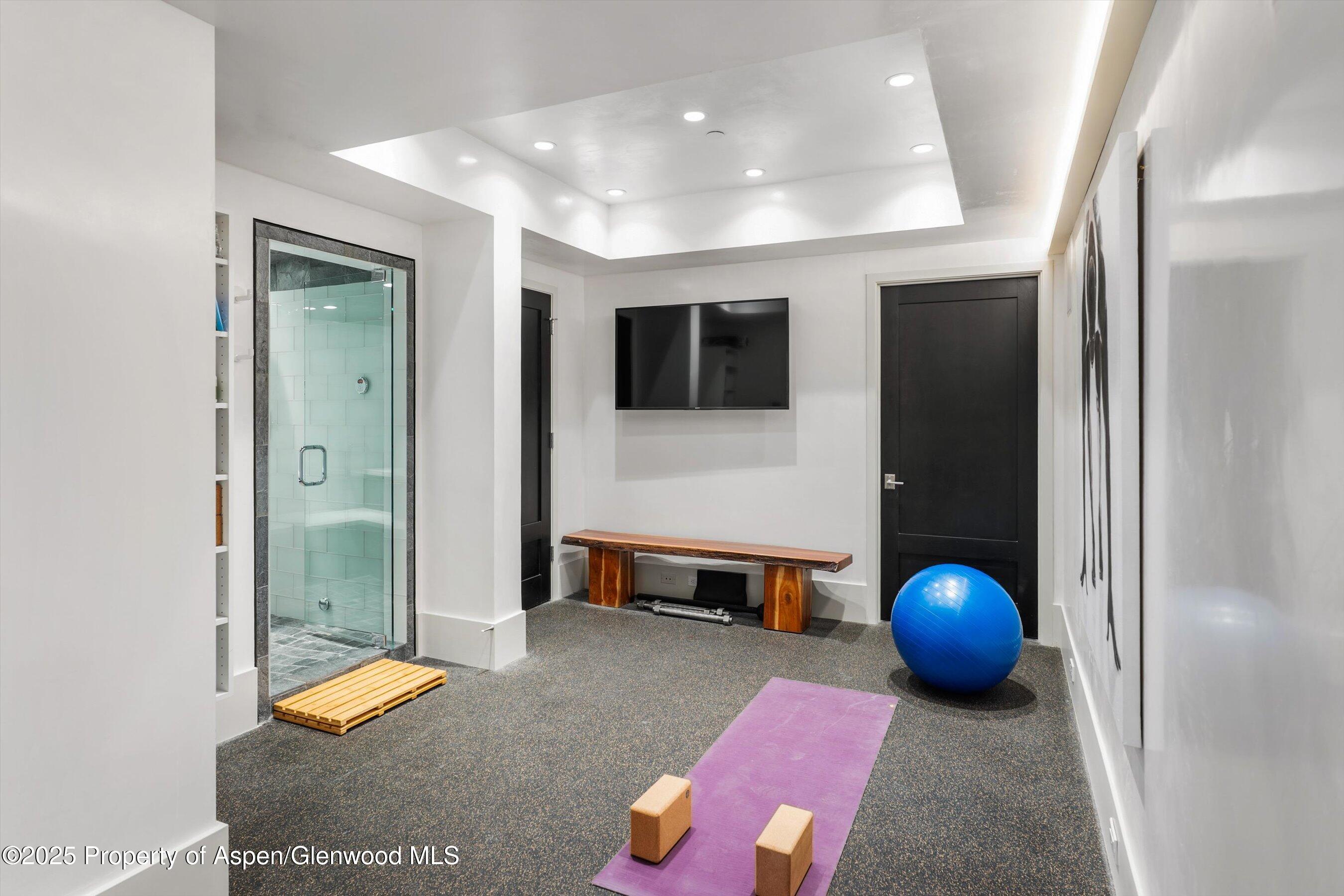 63 Smuggler Grove Aspen CO 81611