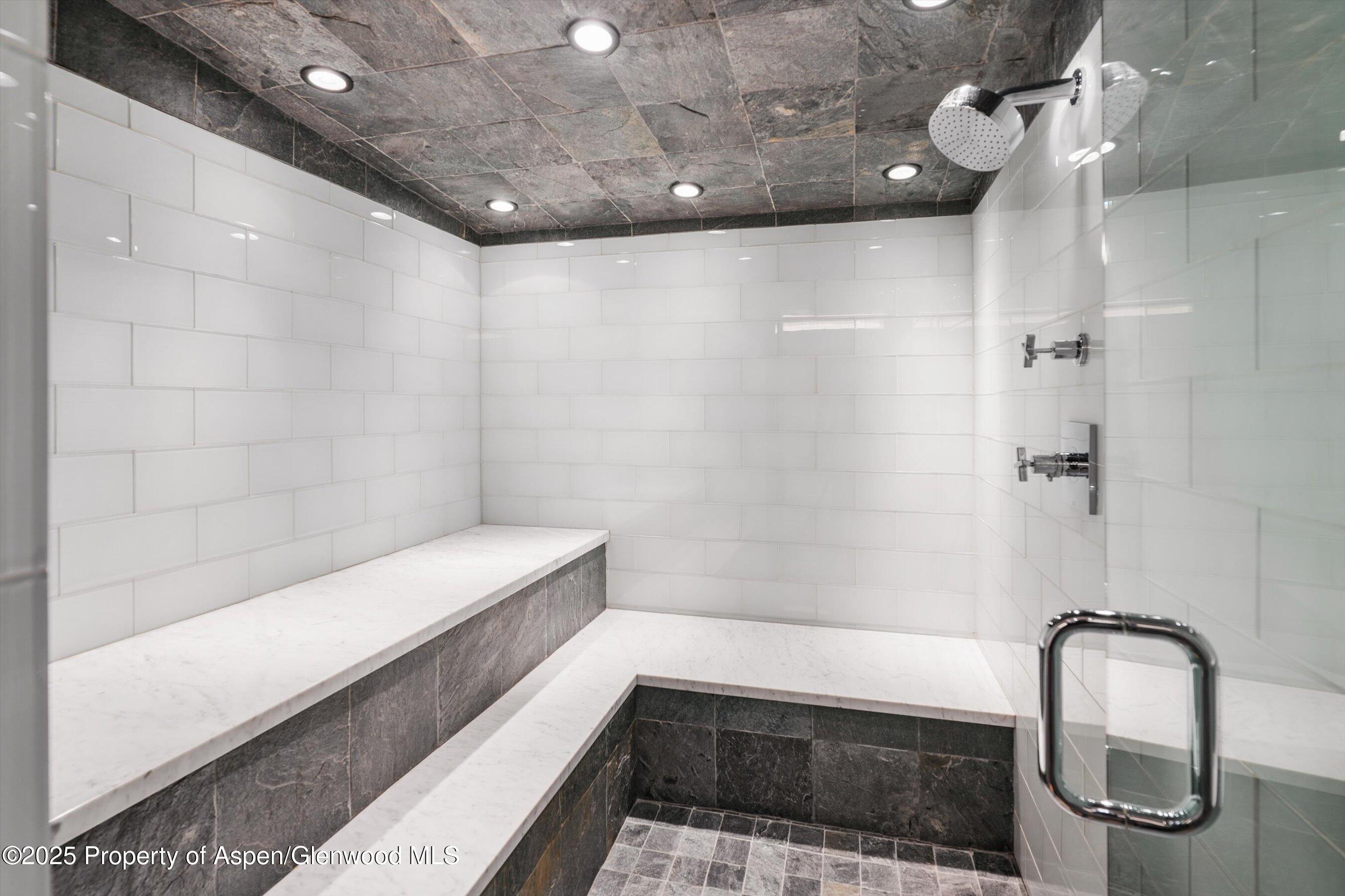 63 Smuggler Grove Aspen CO 81611