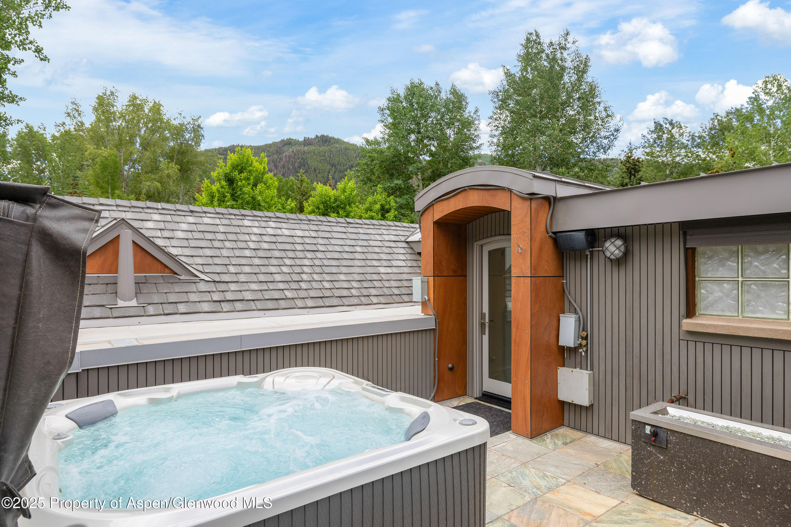 63 Smuggler Grove Aspen CO 81611