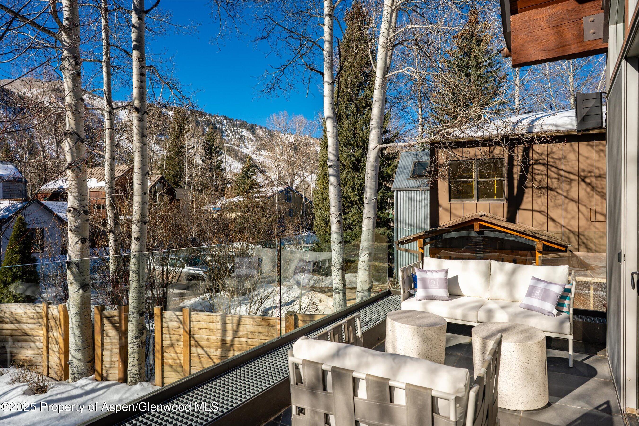 63 Smuggler Grove Aspen CO 81611