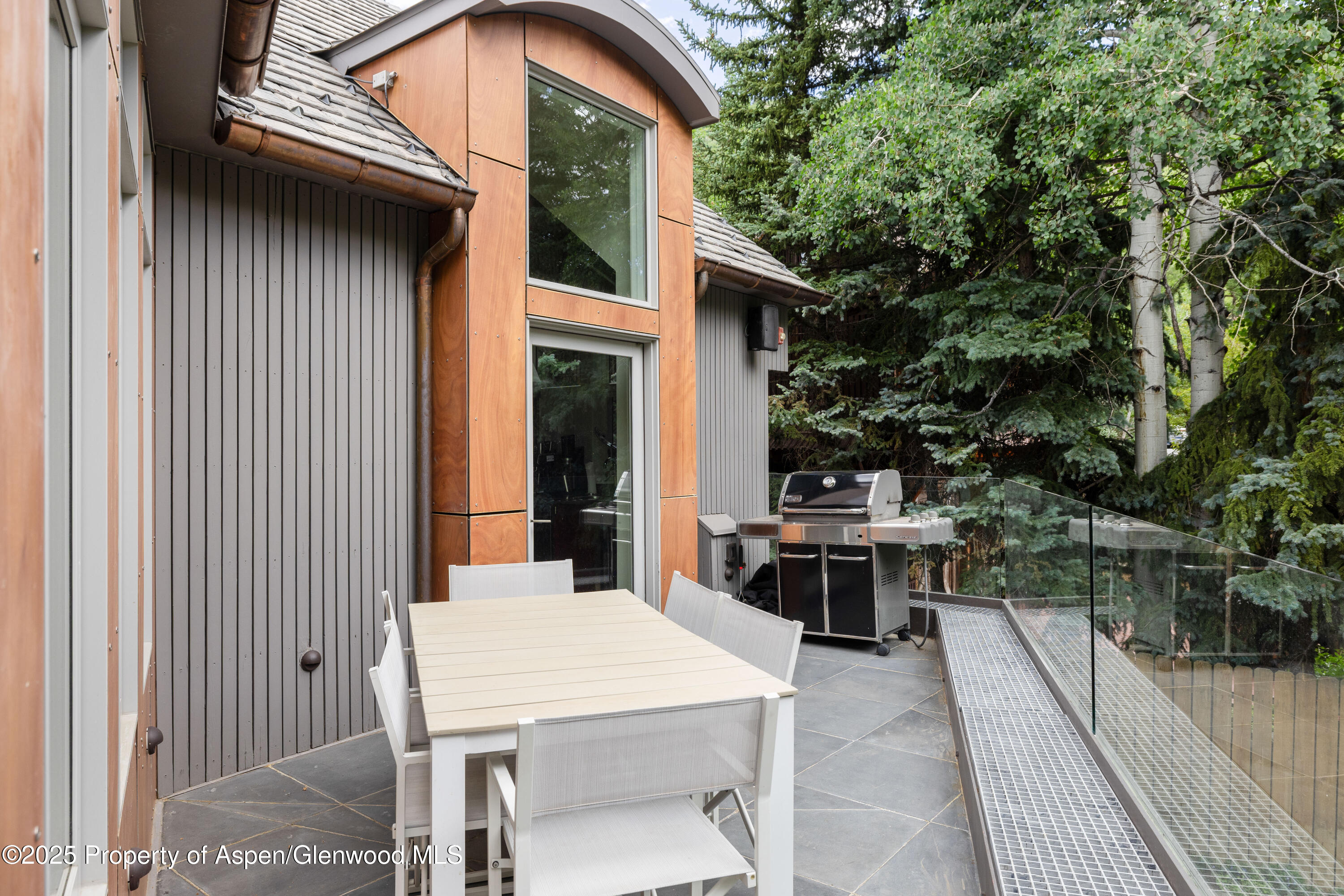 63 Smuggler Grove Aspen CO 81611