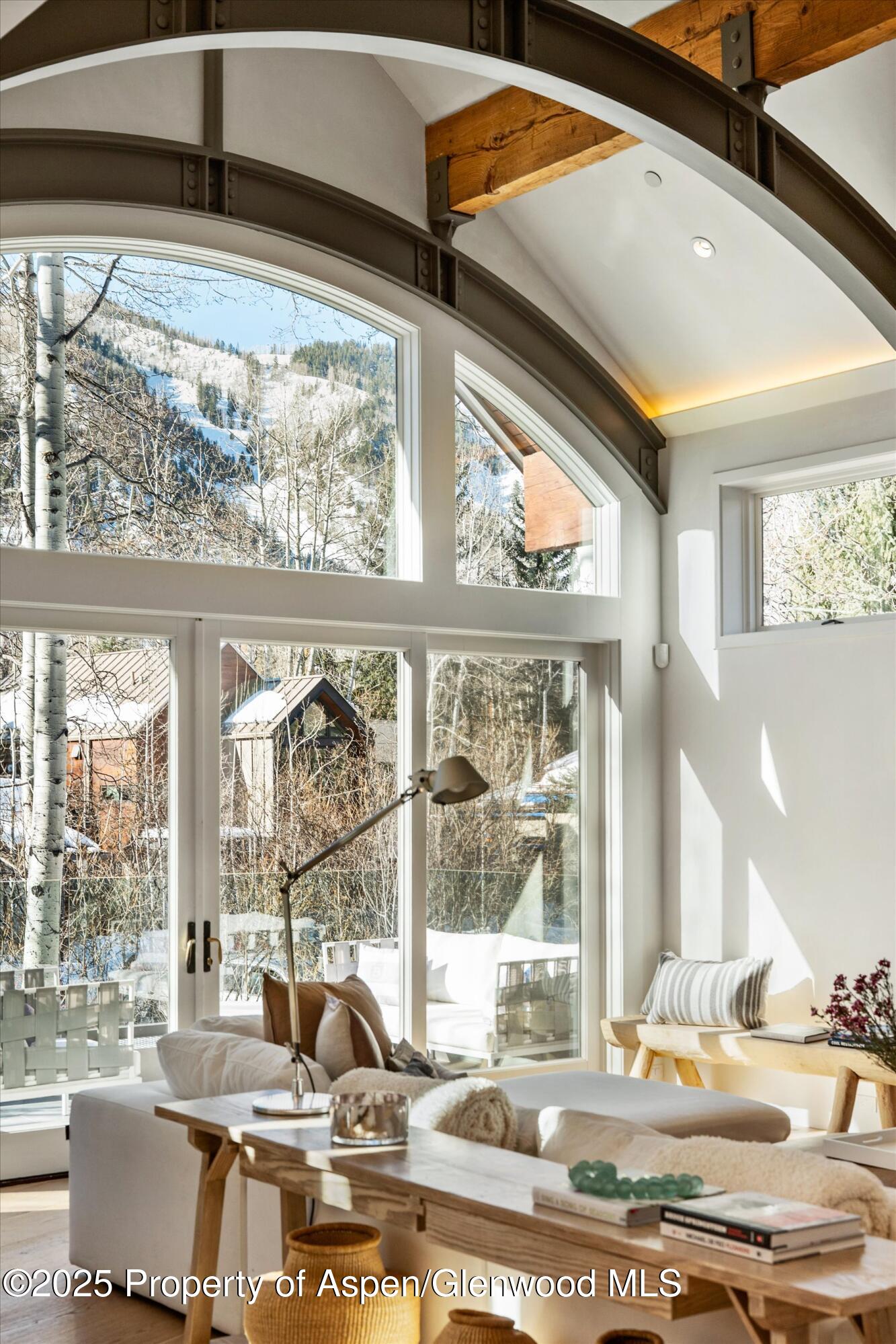 63 Smuggler Grove Aspen CO 81611