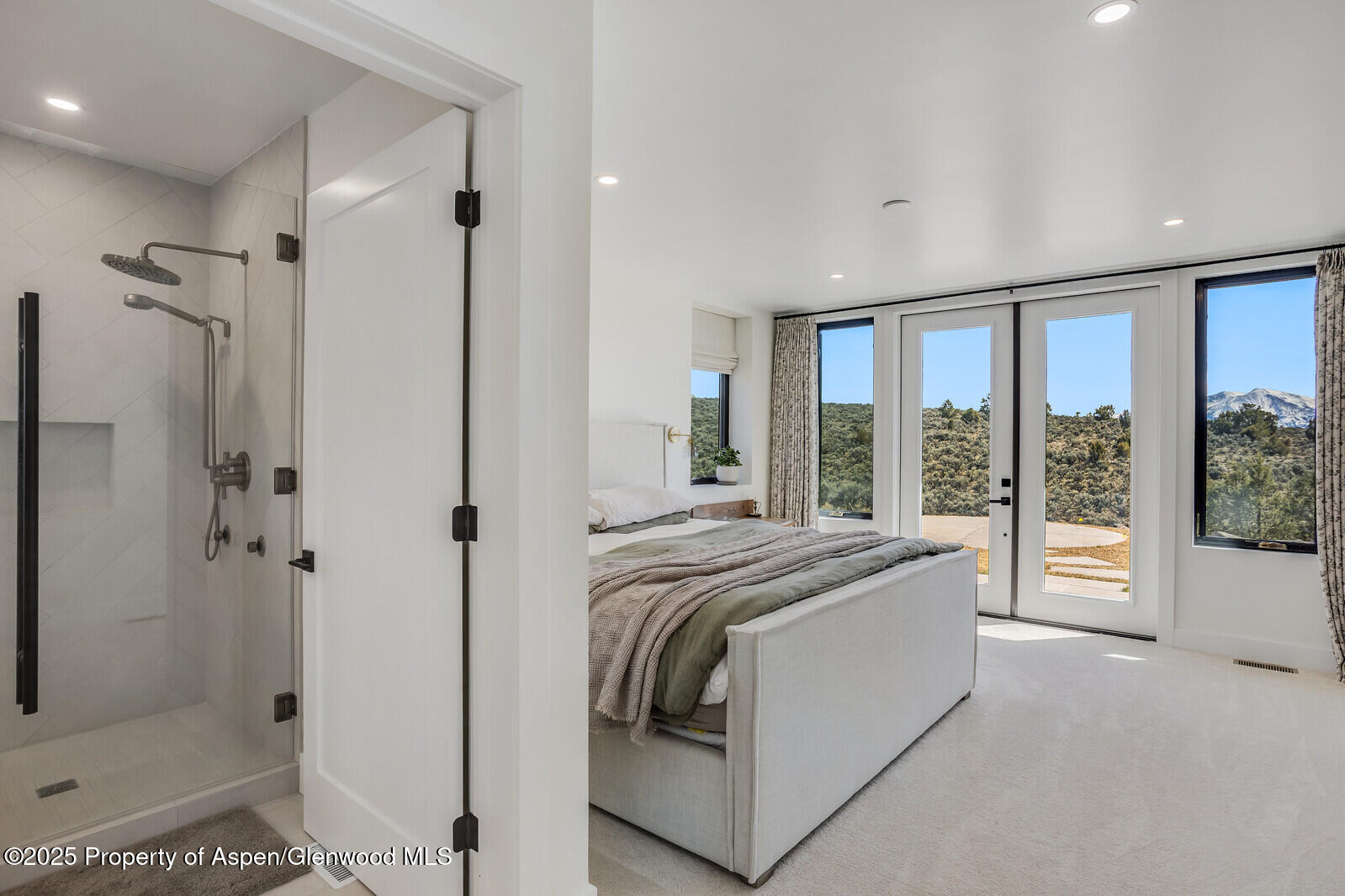38 Aster Drive Glenwood Springs CO 81601