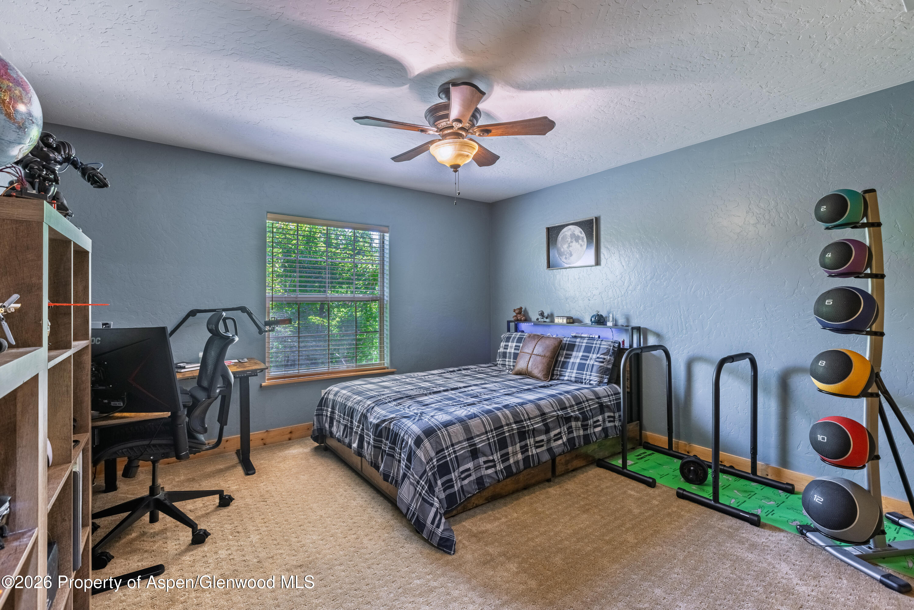 248 Blackhawk Drive New Castle CO 81647