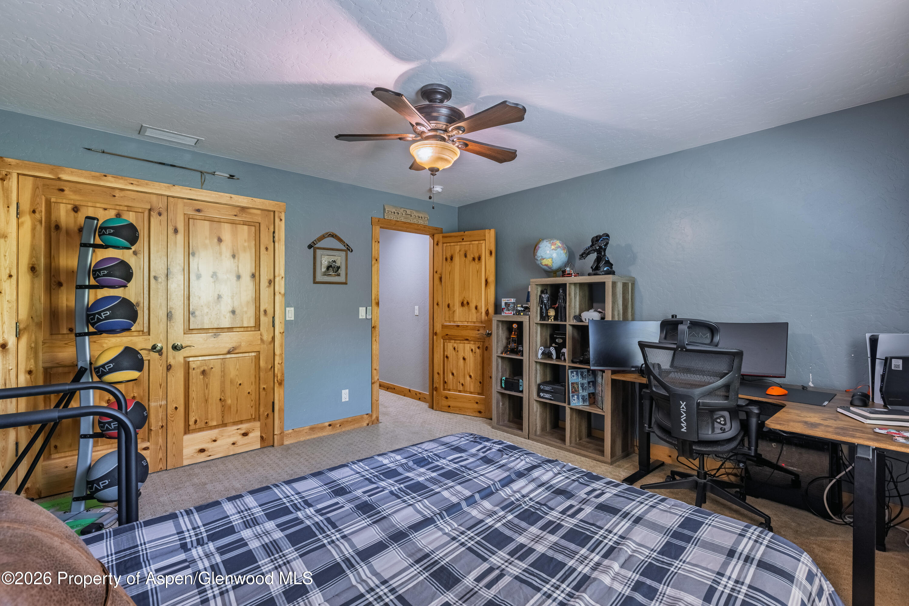 248 Blackhawk Drive New Castle CO 81647