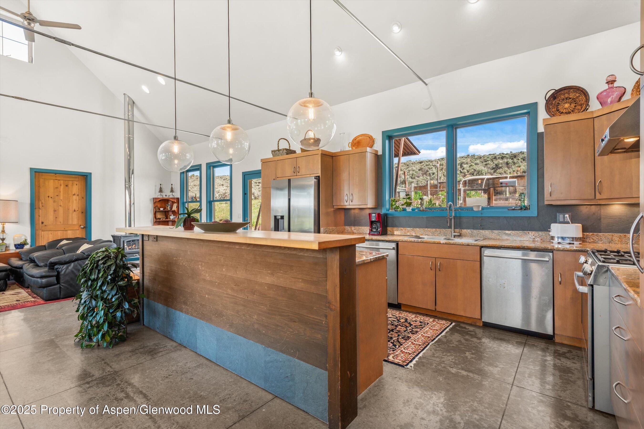 861 Green Meadow Drive Carbondale CO 81623