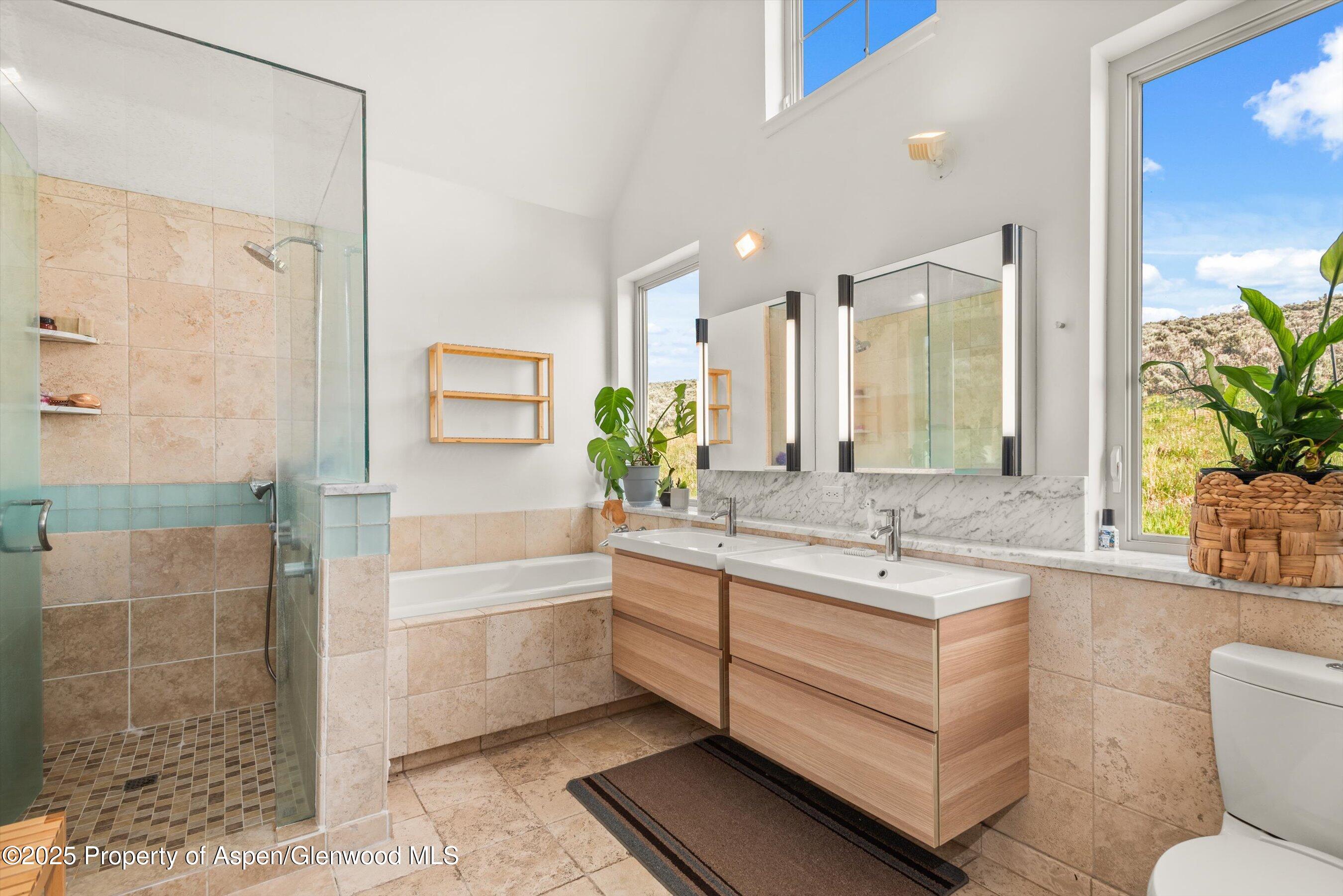 861 Green Meadow Drive Carbondale CO 81623