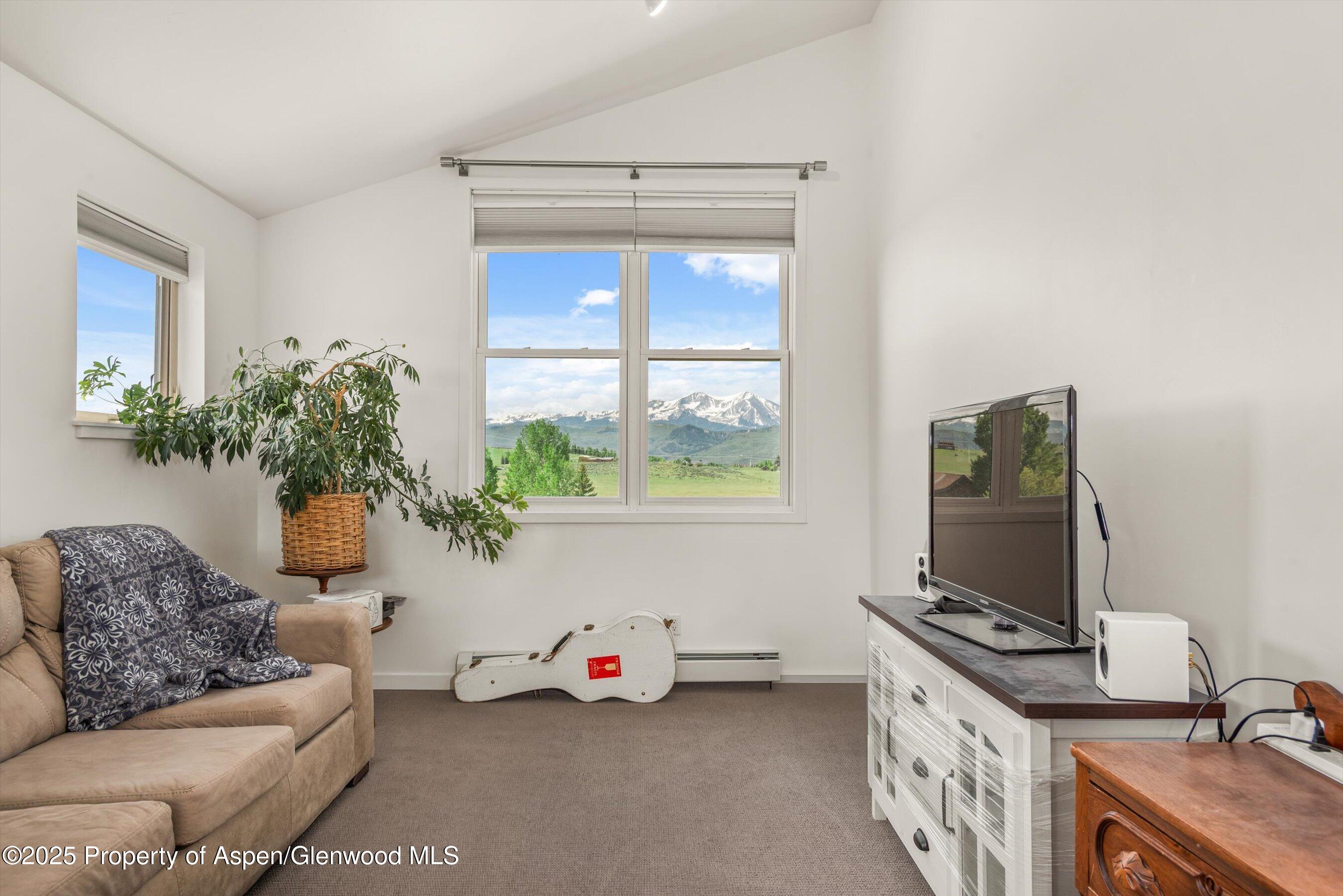 861 Green Meadow Drive Carbondale CO 81623