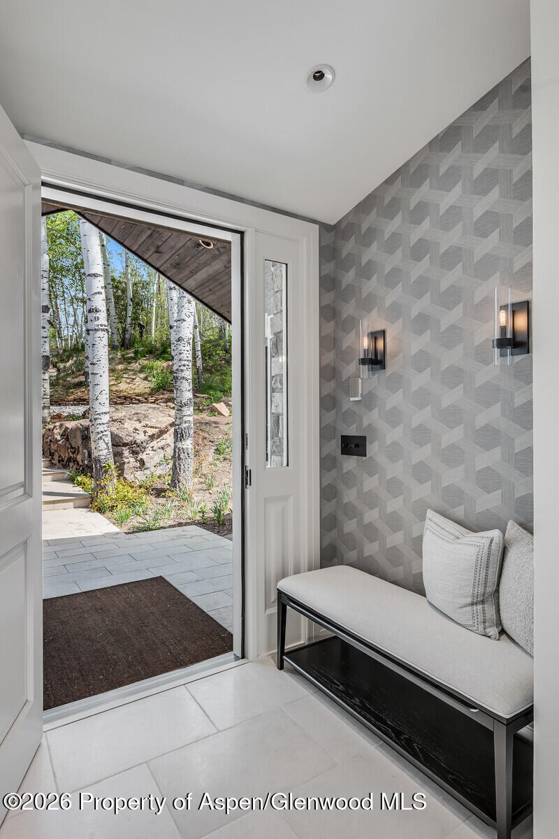 222 Roaring Fork Drive Aspen CO 81611