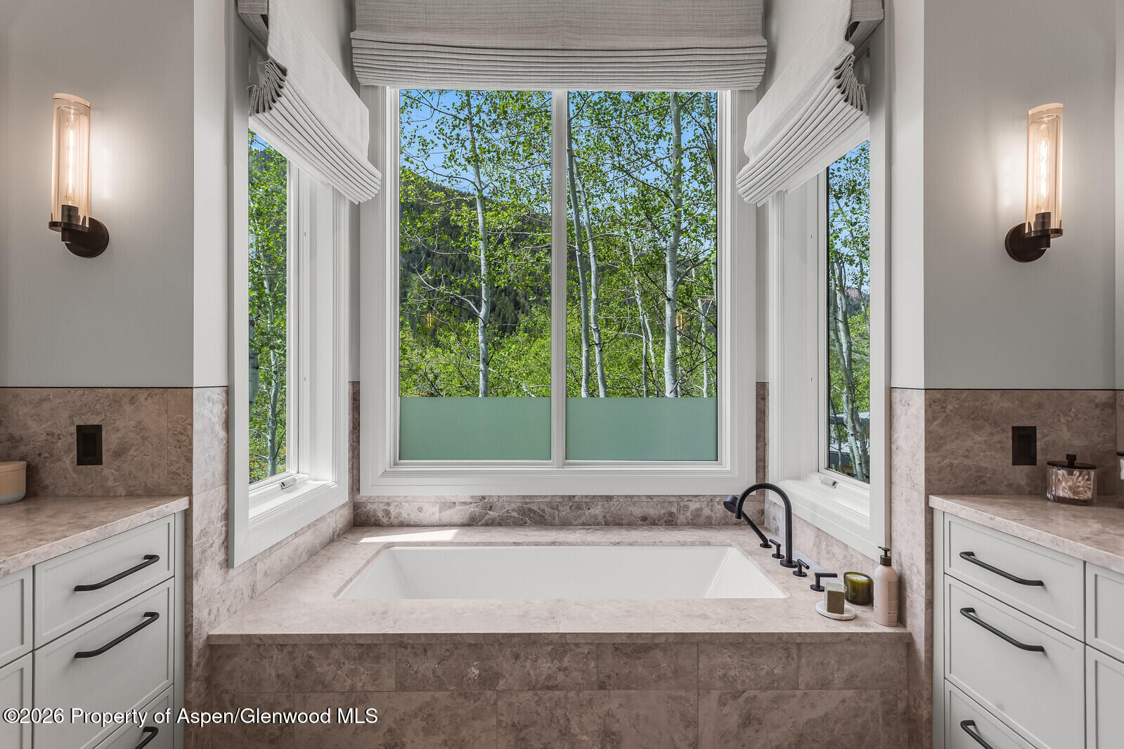 222 Roaring Fork Drive Aspen CO 81611