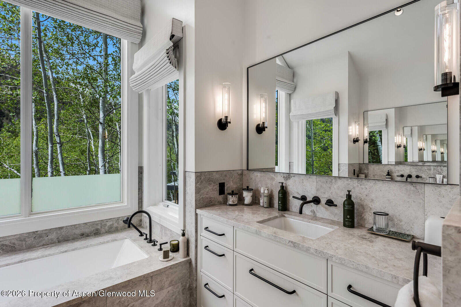 222 Roaring Fork Drive Aspen CO 81611