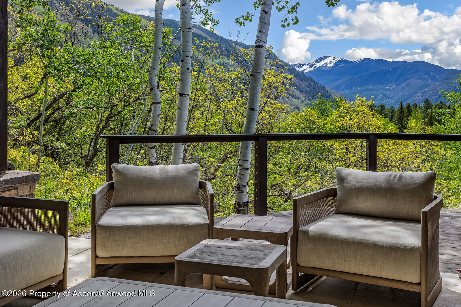 222 Roaring Fork Drive Aspen CO 81611
