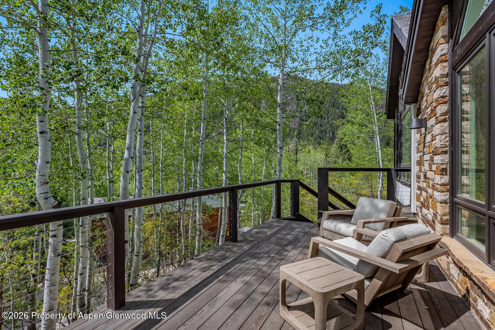 222 Roaring Fork Drive Aspen CO 81611