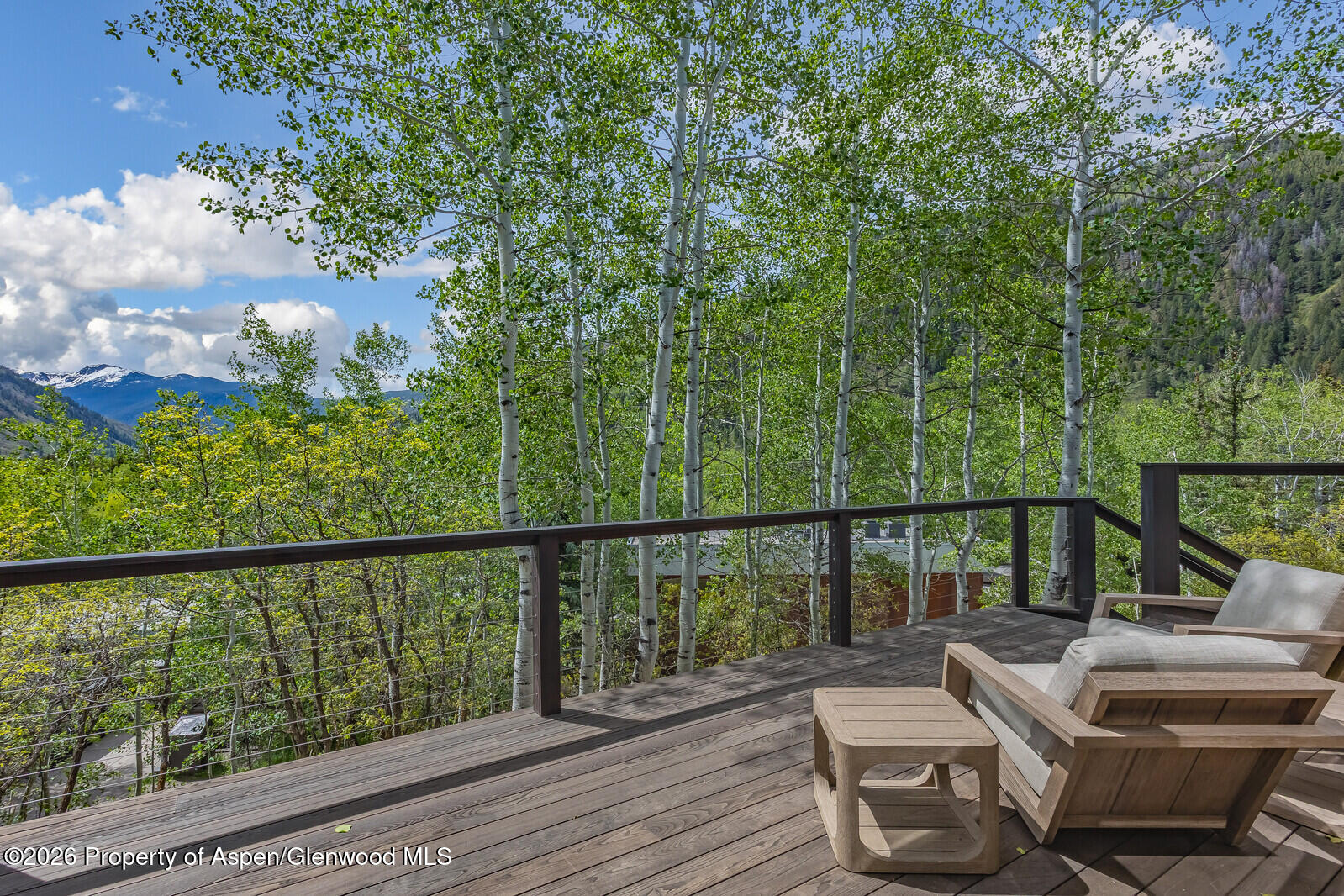 222 Roaring Fork Drive Aspen CO 81611