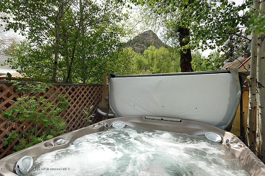 735 W Bleeker Street Aspen CO 81611