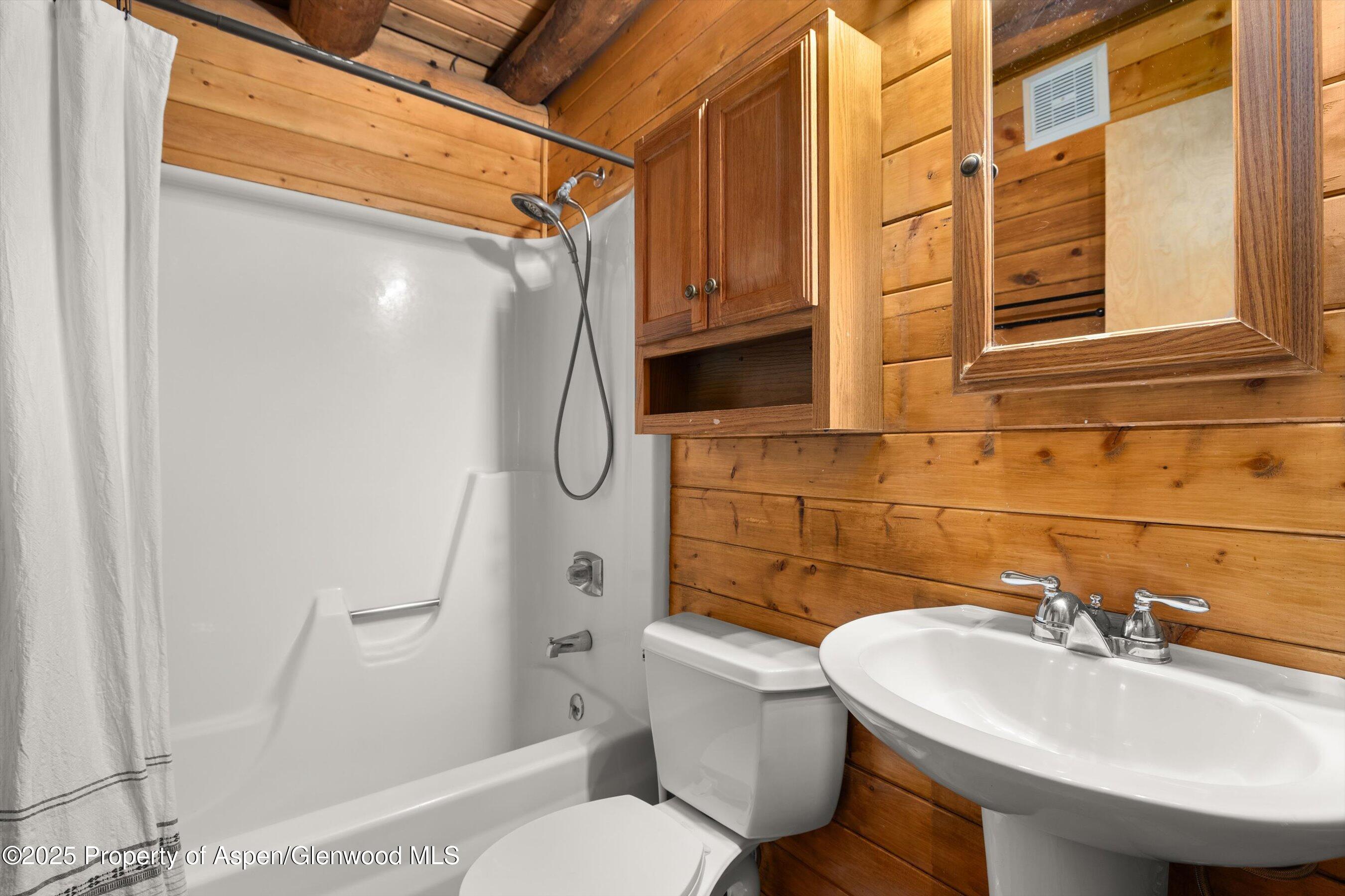 200 Serpentine Trail Marble CO 81623