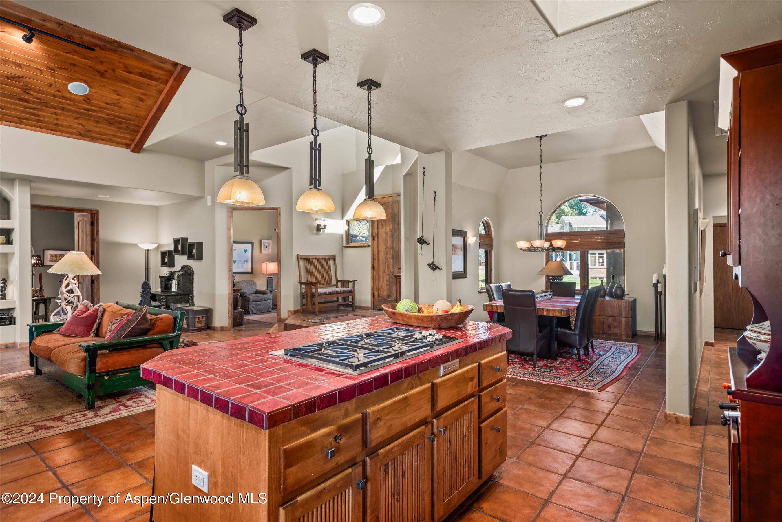 893 Graceland Drive Carbondale CO 81623