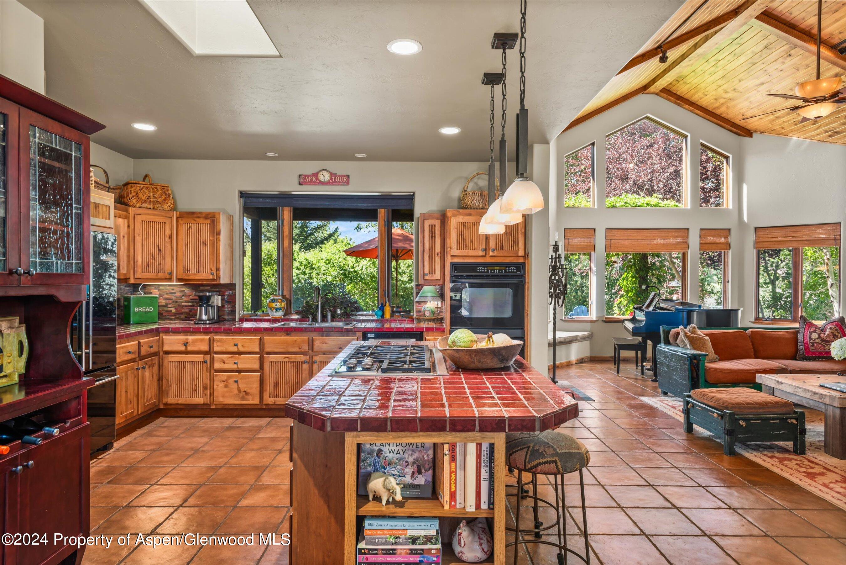 893 Graceland Drive Carbondale CO 81623